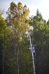 Image showing Summer Rain