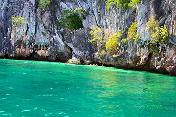 Image showing Snorkeling