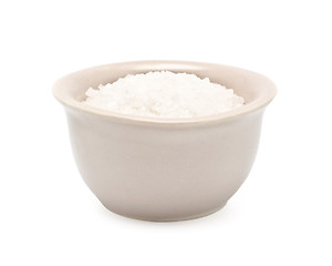 Image showing Salt Castor