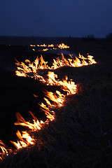 Image showing night fire