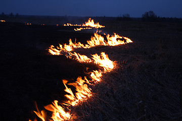 Image showing night fire