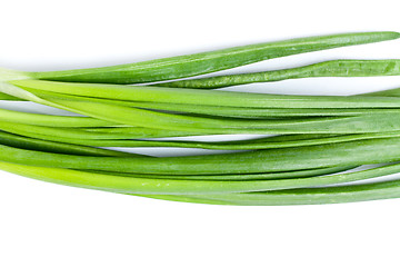 Image showing Fresh Leek