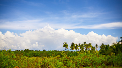 Image showing Thai Landscape