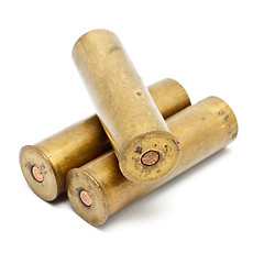 Image showing Shotgun Cartridges