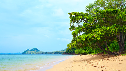 Image showing Tropical Beach