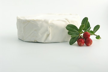 Image showing cheese