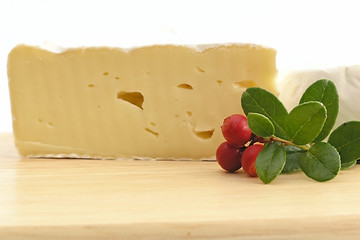 Image showing cheese