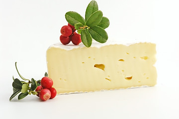 Image showing cheese