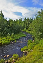 Image showing Rough River