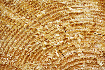 Image showing Texture of Old Wood