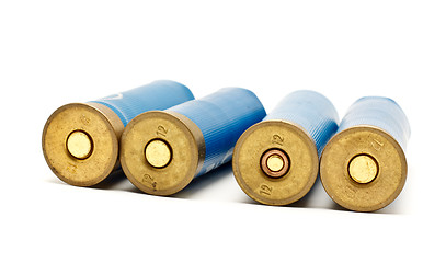 Image showing Shotgun Cartridges