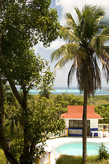 Image showing swimming pool view of  Caribbean Sea San Andres Island Colombia 