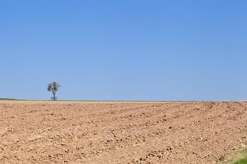 Image showing Dry field