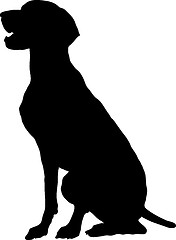 Image showing German Pointer