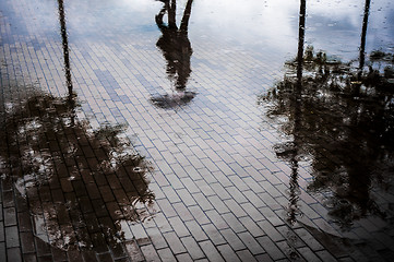 Image showing Couple with umbrella walking in reflection