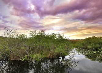 Image showing Sunset On A Tropical River