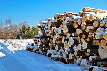 Image showing Timber pile in the snow