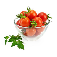 Image showing Tomatoes in a glass container with a green leaf