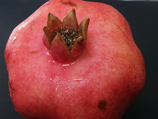 Image showing Pomegranate