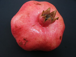 Image showing Pomegranate