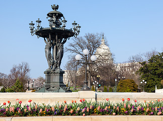 Image showing Bartholdi Fountain and Capitol dome