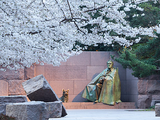 Image showing Cherry blossoms and Washington FDR monument