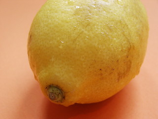 Image showing Lemon