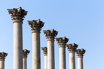 Image showing Capitol columns in National Arboretum DC