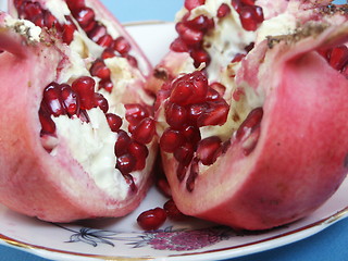 Image showing Pomegranate