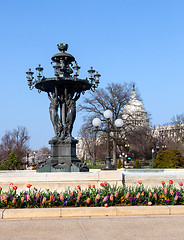 Image showing Bartholdi Fountain and Capitol dome
