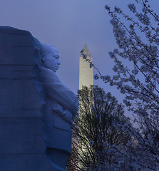 Image showing Cherry blossoms and MLK monument