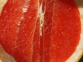 Image showing grapefruit