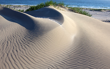 Image showing Dune on the bank of the Pacific Ocean