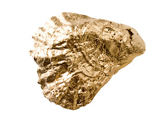 Image showing Gold shell isolated on white background.