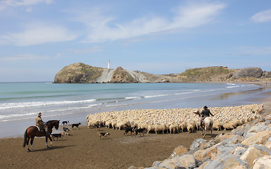 Image showing Castlepoint beach