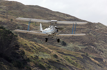 Image showing Tiger Moth