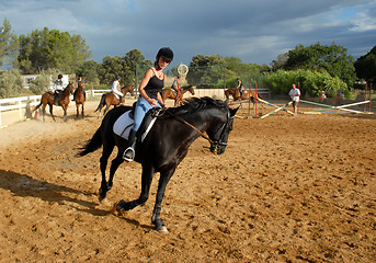 Image showing training of horse competition