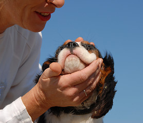 Image showing smiling senior and little dog