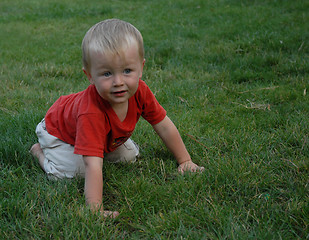 Image showing baby in grass