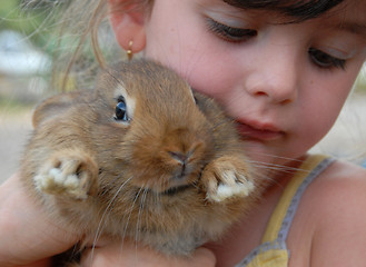 Image showing little girl and bunny