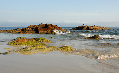 Image showing wild beach in corsica