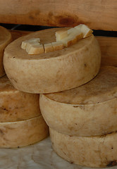 Image showing corsica cheese