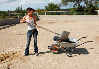 Image showing horse dung and woman