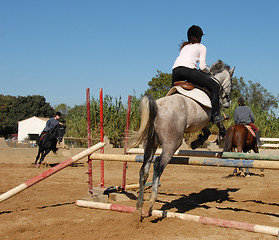 Image showing jumping grey horse