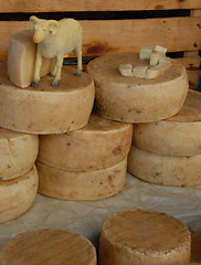 Image showing delicious cheese