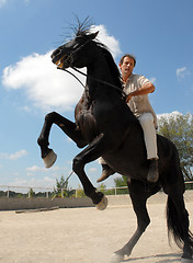 Image showing rearing stallion