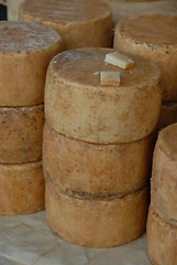 Image showing delicious corsica cheese