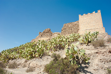 Image showing Castle ruin