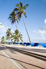 Image showing waterfront promenade beach palm trees San Andres Island Colombia