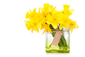 Image showing daffodils